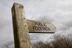 elloughton 7 sm.jpg